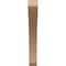 Ekena Millwork 3-inch W x 16-inch D x 22-inch H Lafayette Rough Cedar Woodgrain TimberThane Knee Brace, Primed BRCUR03X16X22LFTRCPR - alternate 4